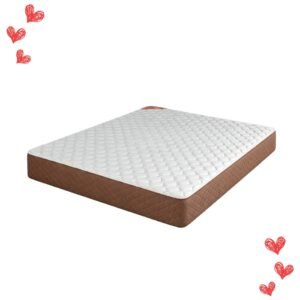 Colchón 2 1/2 Plaza Piero Foam Exclusivo Espuma 140x190x23