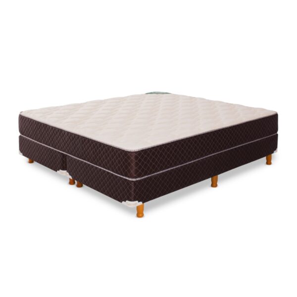 Conjunto Sommier Queen Size Exclusive Cannon Espuma 160x200x25