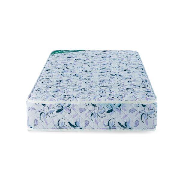 Colchon 1 Plaza Cannon Princess Jr Espuma 80x190x20 - Imagen 2