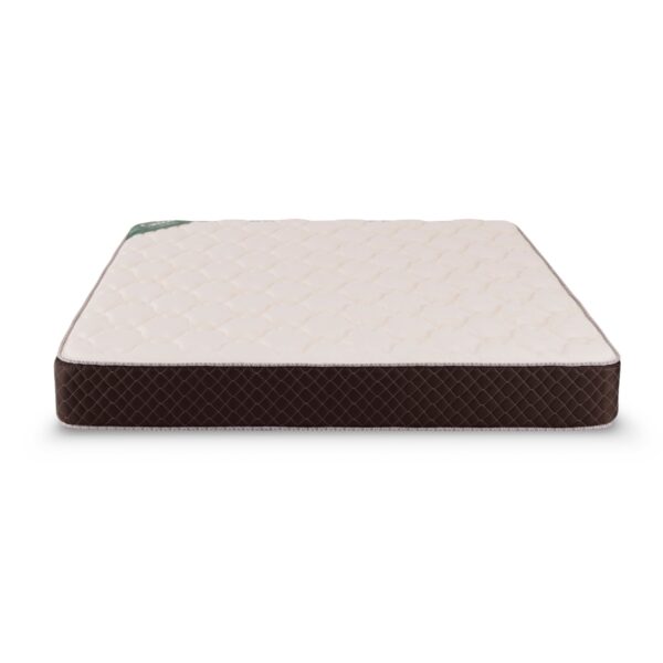 Colchón Queen Size Cannon Exclusive Espuma 160x200x25 - Imagen 2