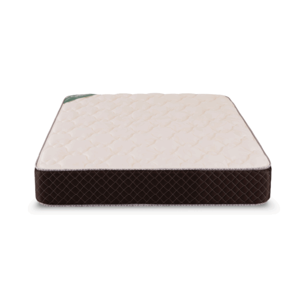 Colchón 2 1/2 Plazas Cannon Exclusive Espuma 140x190x25 - Imagen 2