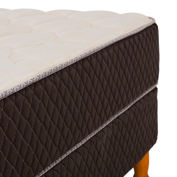 Conjunto Sommier King Size Cannon Exclusive Espuma 200x200x25 - Imagen 4