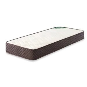 Colchón 1 Plaza Cannon Lujo Espuma 80X190X20