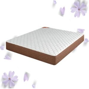 Colchón 2 1/2 Plaza Piero Foam Exclusivo Espuma 140x190x23