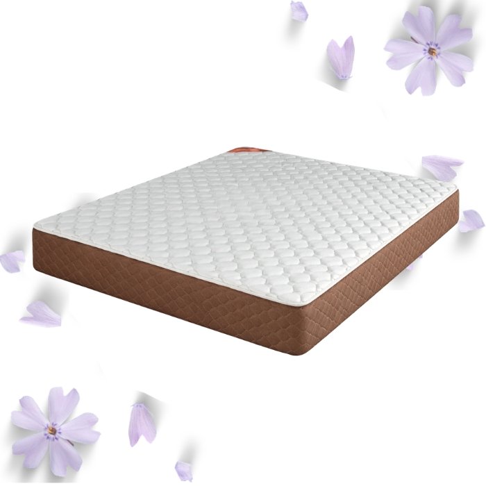 Colchón 2 1/2 Plaza Piero Foam Exclusivo Espuma 140x190x23