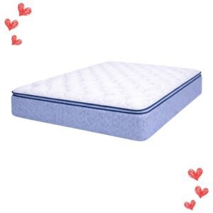 Colchón 2 1/2 Plaza Suavegom Merit p/top Espuma 140x190x29